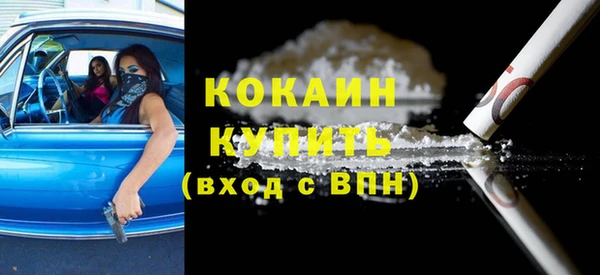 шишки Новодвинск
