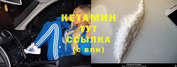 шишки Новодвинск