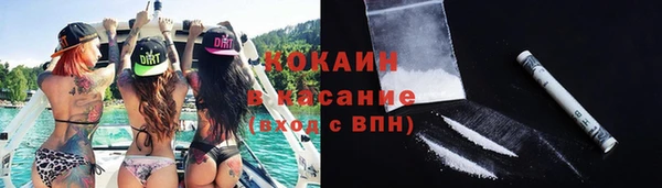 шишки Новодвинск