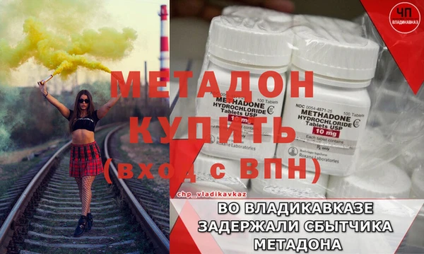 шишки Новодвинск