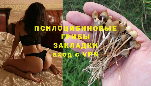MESCALINE Новозыбков