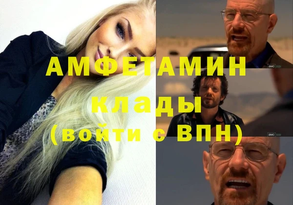 шишки Новодвинск