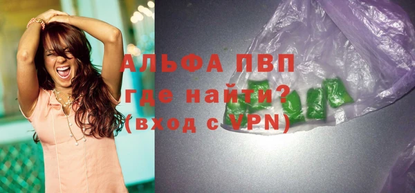 шишки Новодвинск