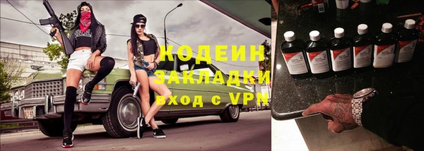 шишки Новодвинск