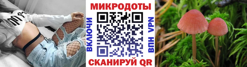купить закладку  Грозный  Псилоцибиновые грибы ЛСД 