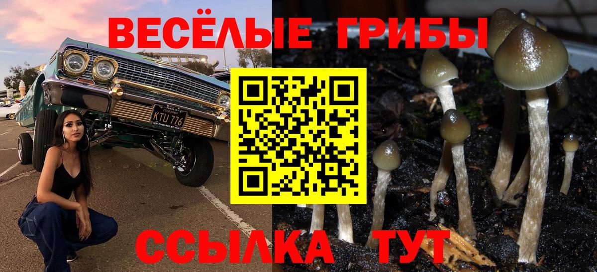 Псилоцибиновые грибы прущие грибы Грозный