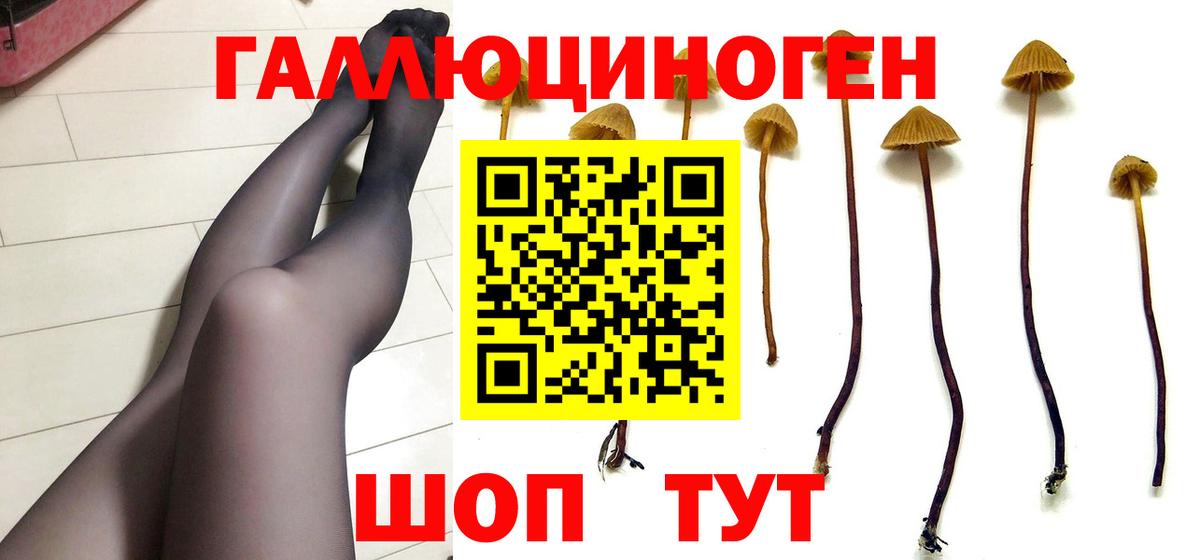Галлюциногенные грибы Psilocybine cubensis  где продают наркотики  Грозный  Вход с VPN  Псилоцибиновые грибы Cubensis 