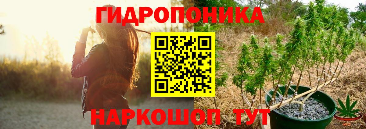 Кодеин  Грозный  МЕФ   Каннабис  COCAIN  Мефедрон  