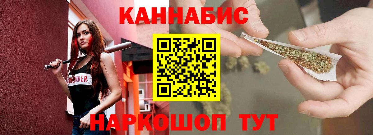 Конопля планчик Грозный